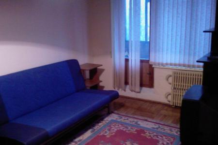 1-комнатаная квартира в Заднепровье.