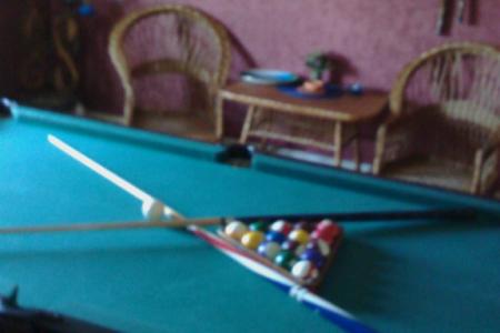 Дом с банькой, бассейном и бильярдом