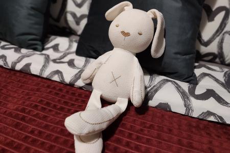 Двухкомнатная квартира у Ледового дворца
