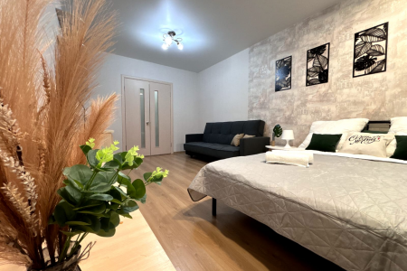 Уютная квартира у ТЦ Петровский