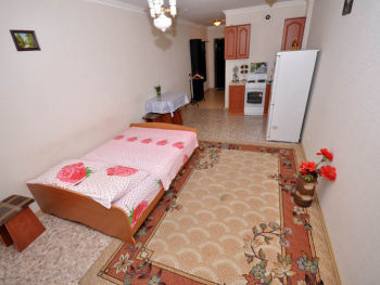 1-комнатная квартира на часы,на ночь, на сутки, посуточно Центральный р-н.