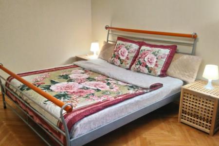 Уютная квартира бизнес-класса напротив РАНГХИС