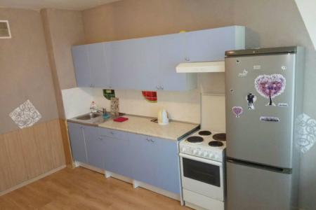 Двухкомнатная квартира в новостройке ВИЗ