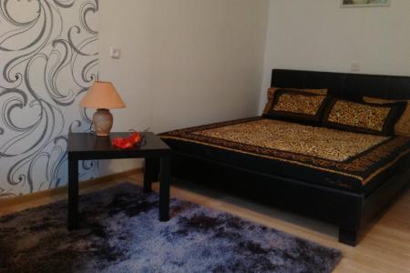 1-комн. кв. «ЛЮКС»  ЦЕНТР ГОРОДА