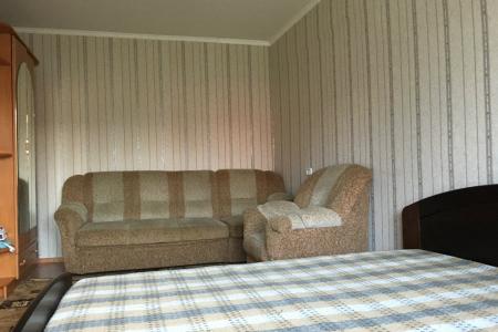 Однокомнатная  квартира возле набережной Енисея,