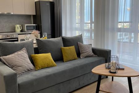 Уютная студия в жилом комплексе «Видинеевский»