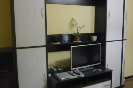 Квартира в элитном доме с евро ремонтом и невероятно красивым видом из окна. Сдается с декабря.