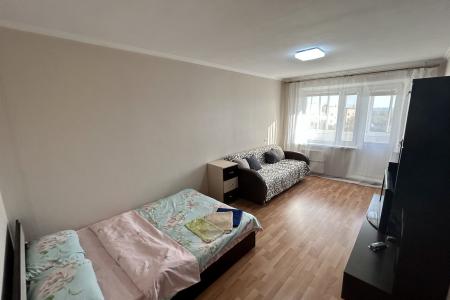 Уютная однокомнатная квартира