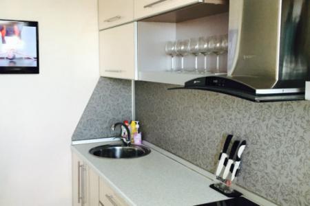 1-комнатная квартира с евро ремонтом