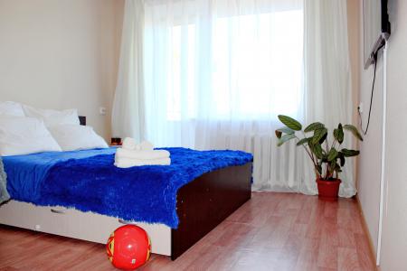 трехкомнатная квартира у парка в центре