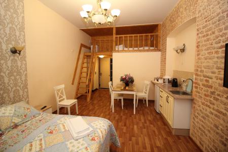 Невский проспект (центр) квартира-студия (2.5)