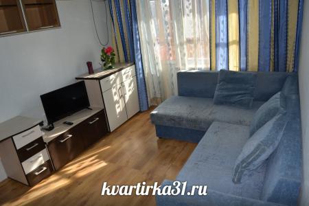Комфортабельная двухкомнатная квартира в центре ХарГоры