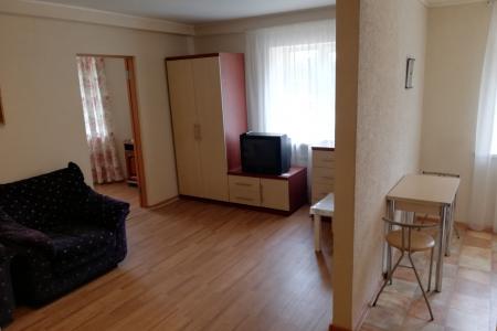 Чистая однокомнатная квартира на Советской