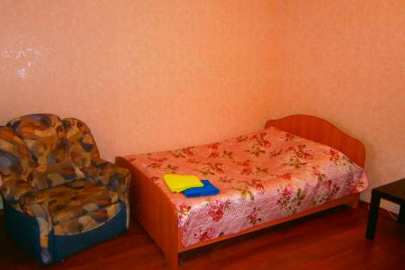 Просторная однокомнатная квартира