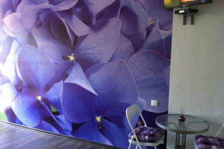 Сдаётся однокомнатная студия с кухней в Кастрополе! Шикарный номер,свой балкон,терраса!