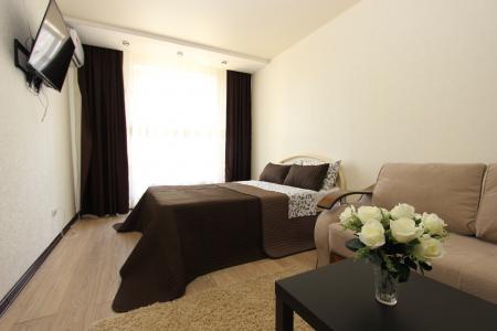 Однокомнатная квартира в центре города