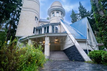 Топ 17 Борки