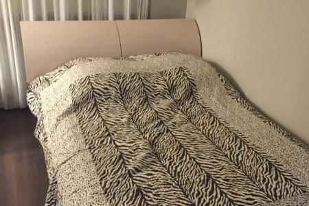 Квартира в центре - рядом все достопримечательности