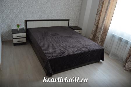 Двухкомнатная квартира в центре города