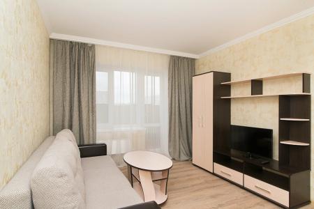 Чекистов,9 однокомнатная квартира в новостройке