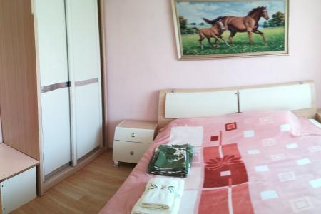 Уютная, теплая квартира в "Европейском"