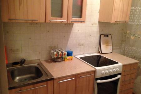 1 комнатная квартира в центре  Два спальных места