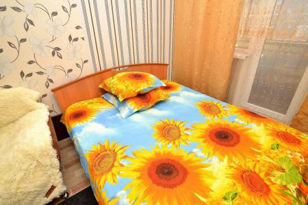 Уютная однокомнатная квартира