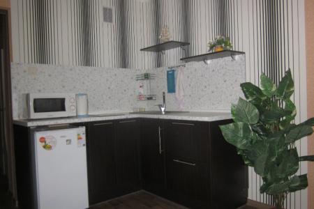 Квартира-студия недалеко от старого моста