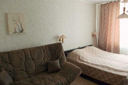 1-комнатная элитная квартира в Центре, рядом с Галереей Чижова