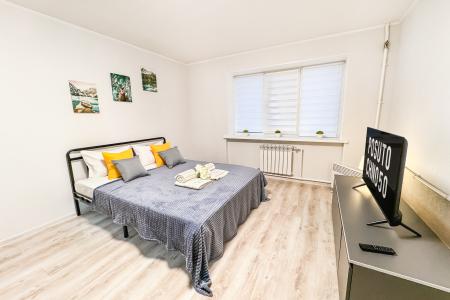 1 комнатная квартира Дружбы 4