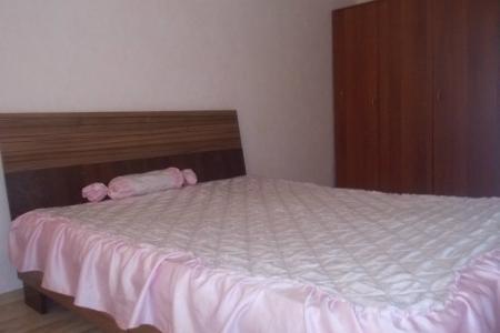 Двухкомнатная квартира возле Пиплс Парка