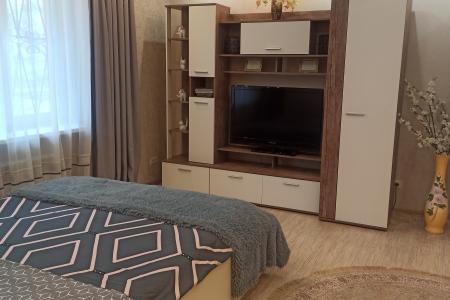 Уютная однокомнатная квартира.