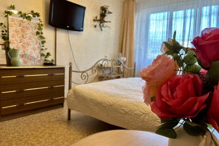 Однокомнатная на 4х с спальным местом на кухне