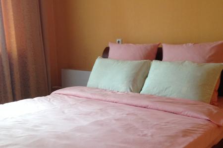 Двухкомнатная квартира возле Ледового