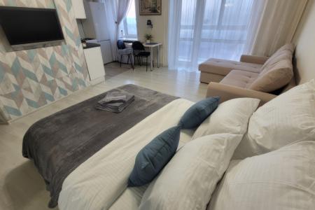 1-к. квартира, на ул., Притомская Набережная. 13