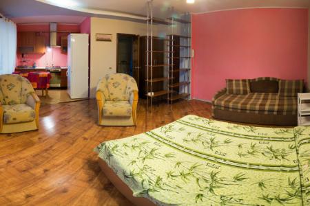 Уютная квартира-студия в центре