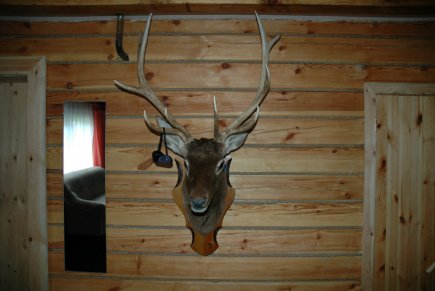 Коттедж, Рябиновая улица, д. 21, корп. 2