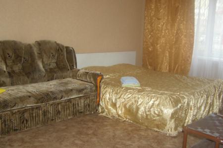 1ком квартира у ледового