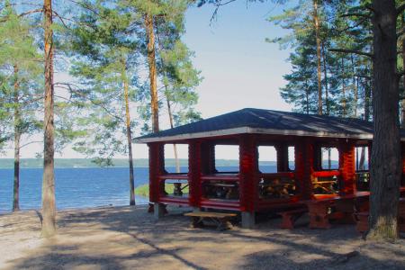 Коттедж на озере у леса