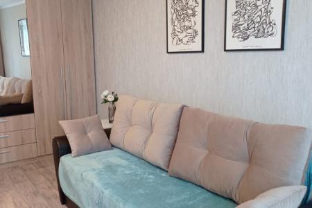 Уютная однокомнатная квартира на Суркова