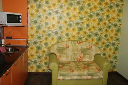 Однокомнатная квартира возле т.ц. АРБАТ