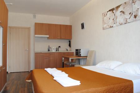 Квартира посуточно, почасово, на месяц возле аэропорта Пулково