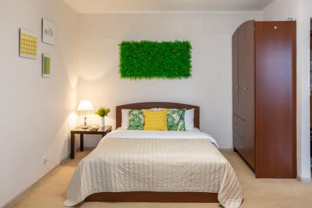 Комфортабельная 1-комнатная квартира стандарт-класса с отличным видом (162)