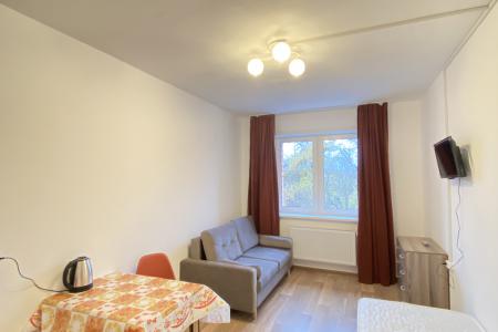 Апартамент на Горького 133а