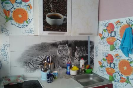 Однокомнатная квартира, ул.Первопроходцев, 10