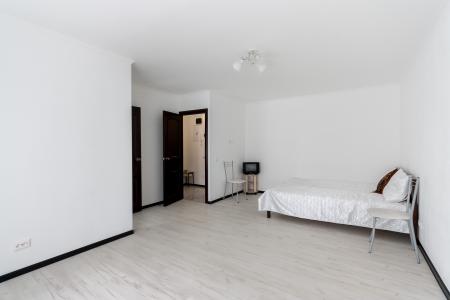 Однокомнатная  квартира Лужники