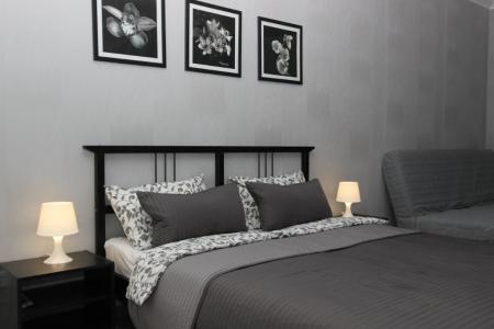 Стильные апартаменты на Красной, 176