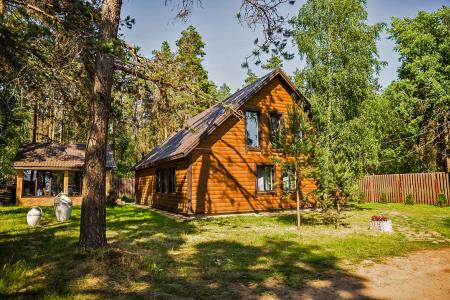 Коттедж у озера в Цвелодубово