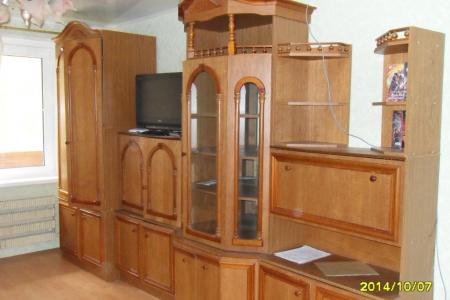 Однокомнатная квартира в Луховицах на сутки