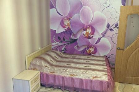 Однокомнатная уютная квартира